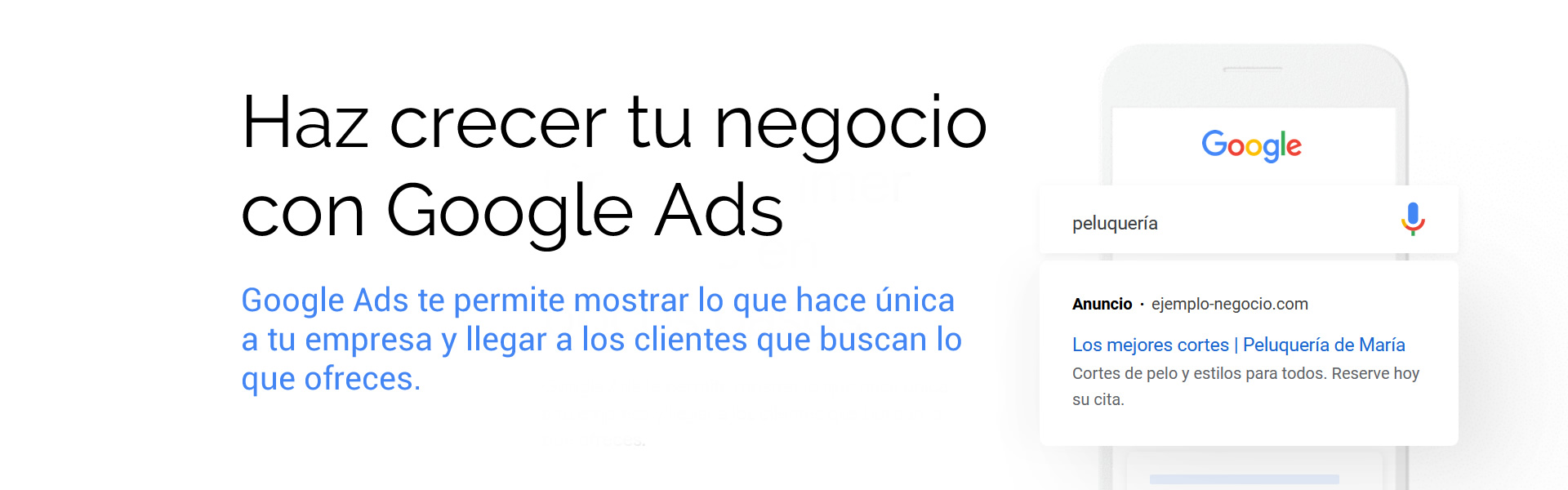 Campañas Google Ads